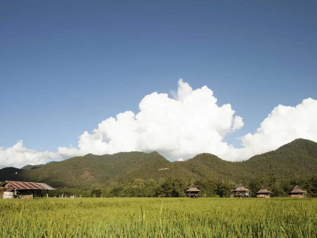 Паи: Blue Sky Pai Resort