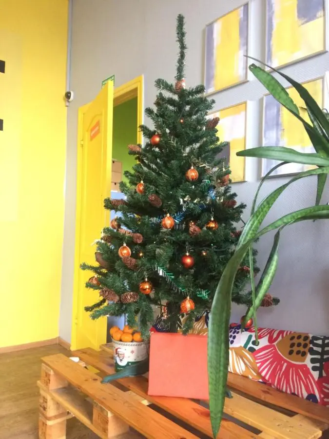 Ростов-на-Дону: Хостел Orange