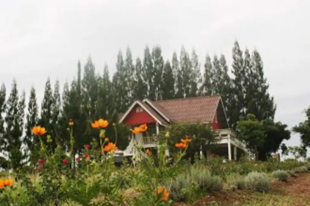 Ванг Нам Кхио: Lavender Hill Bed &Breakfast