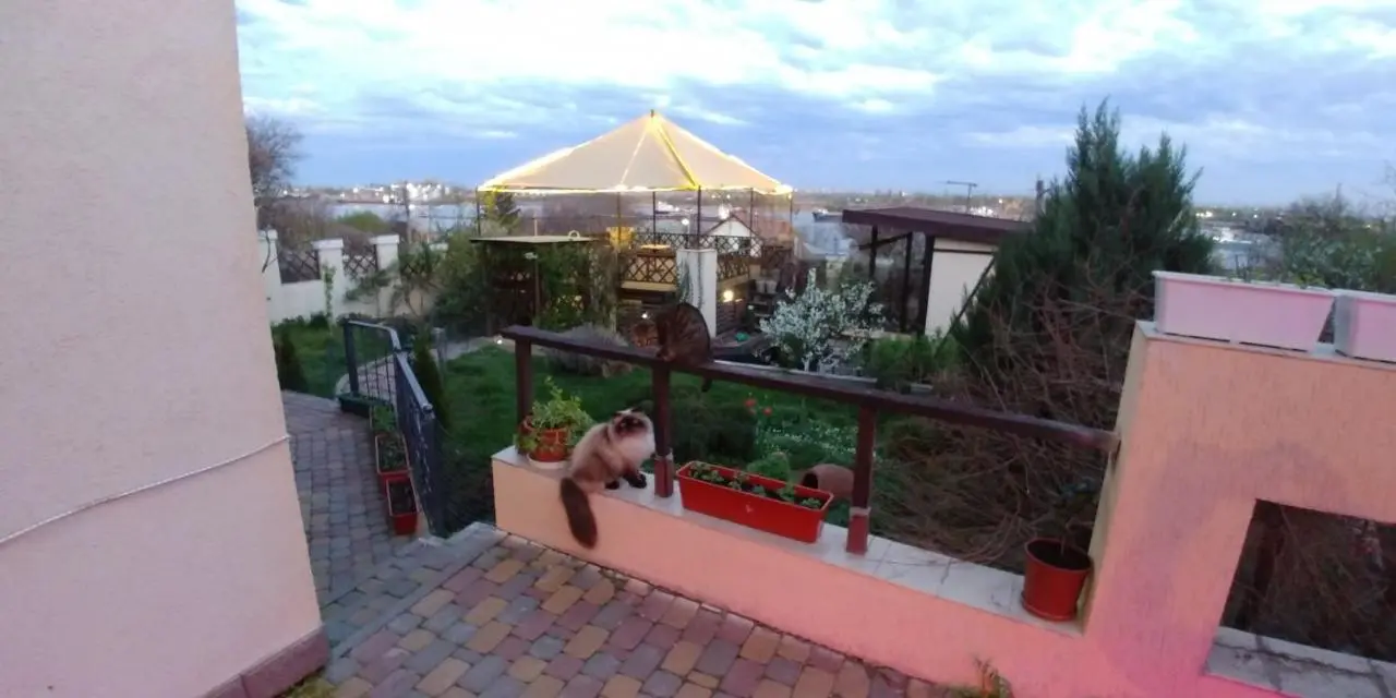Ростов-на-Дону: Guest house Kushiri