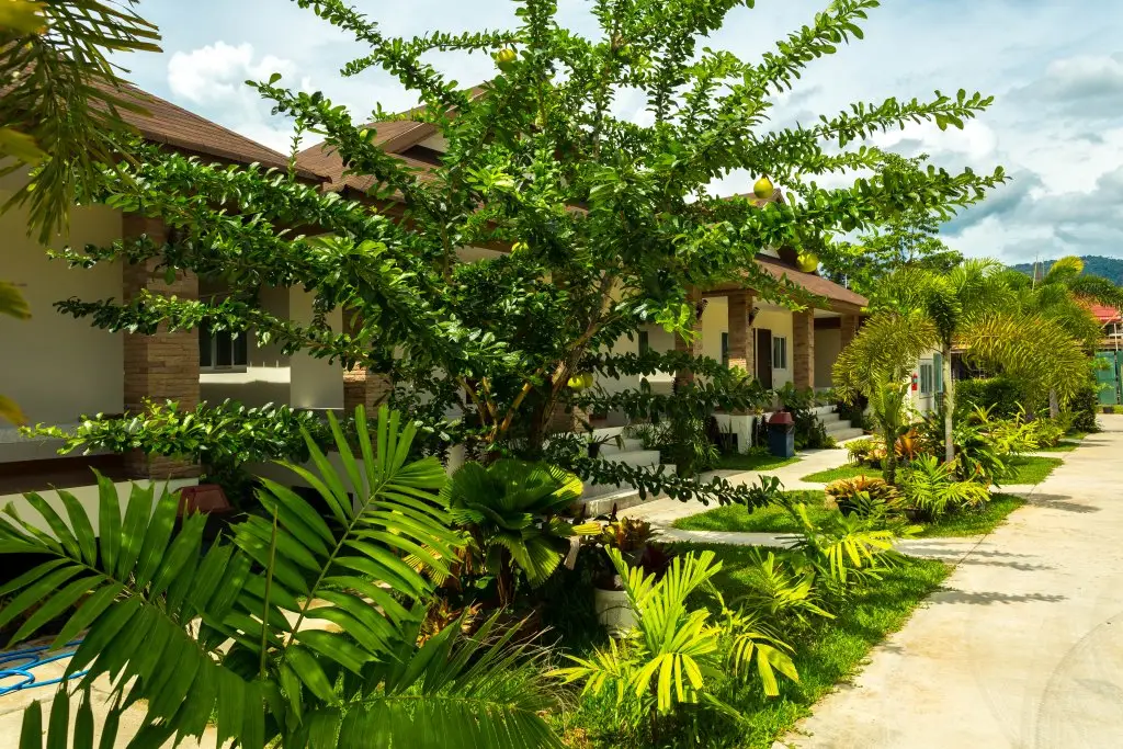 Самуи: Курортный Отель Lipa Bay Residence