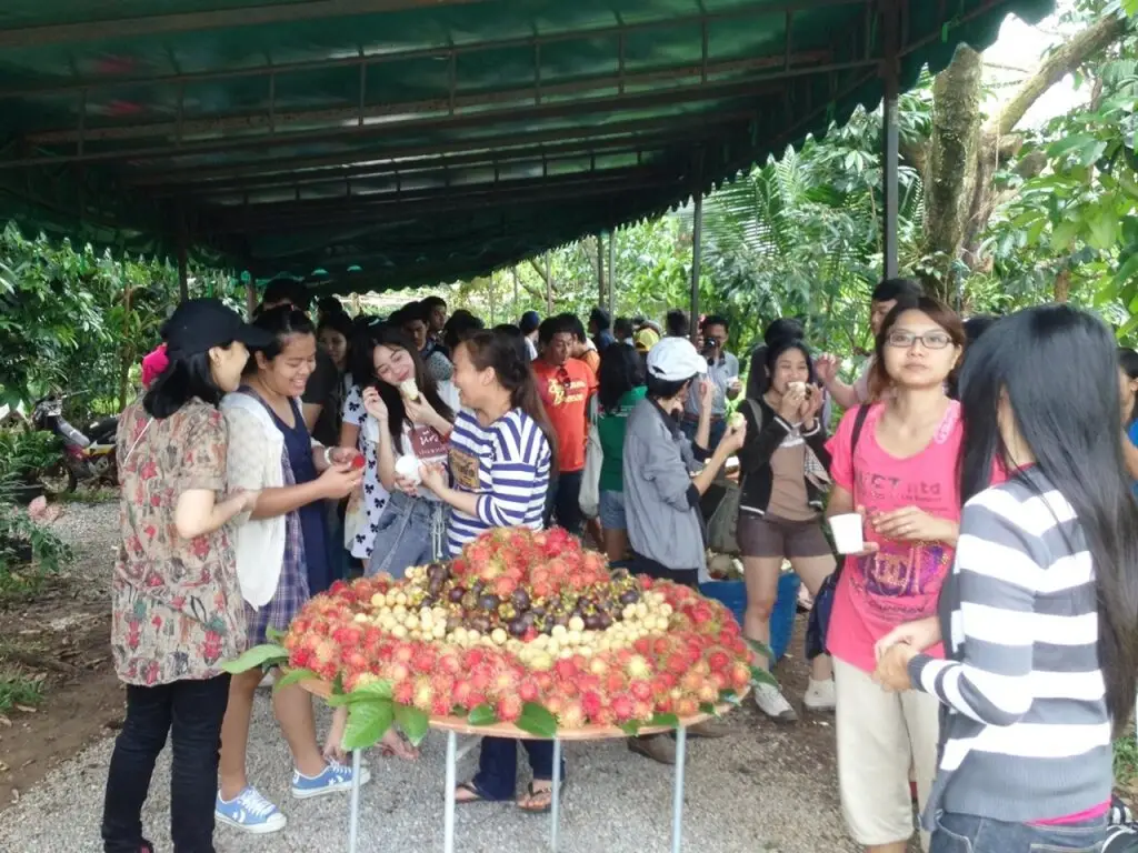 Тха Май: Ban Suan Lung Chaluay Fruit Resort