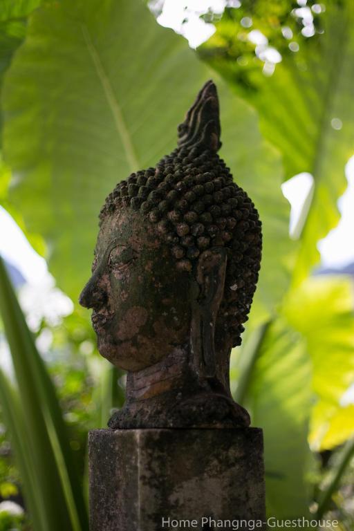 Тай-Муанг: Home Phang-Nga Guesthouse