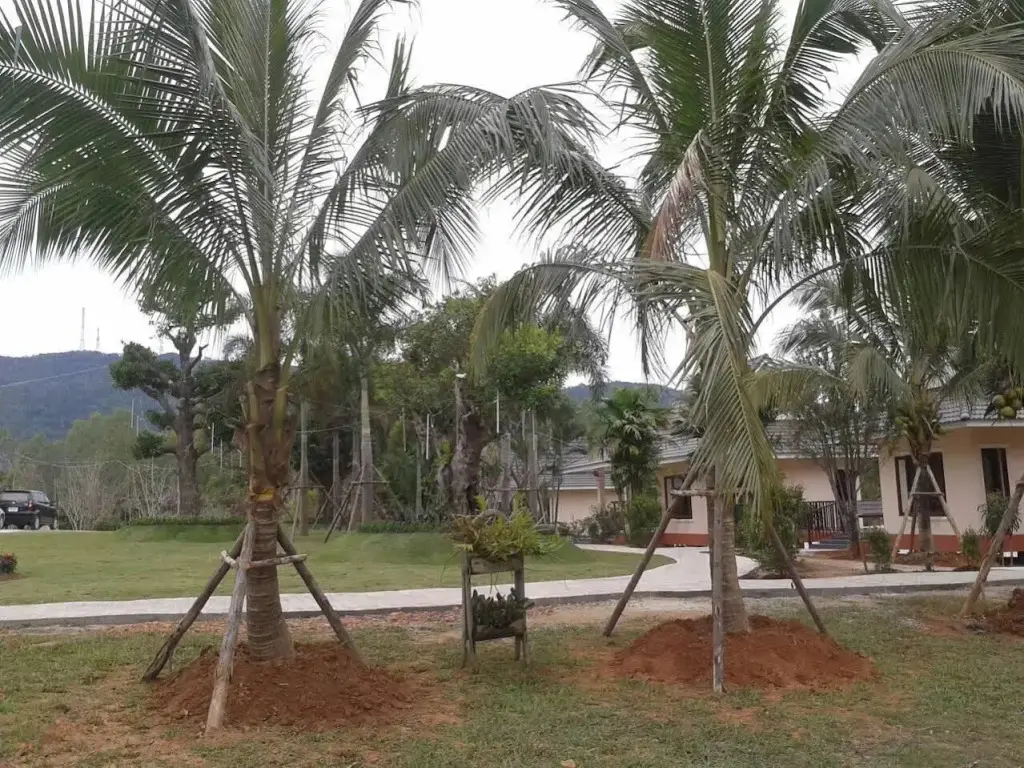Чианграй: Phutien Resort