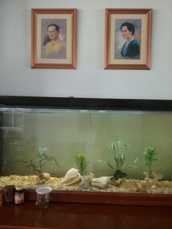 Краби: Krabi River Hotel