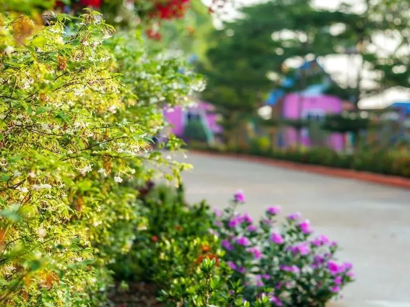 Каласин: Kunnuad Garden Resort