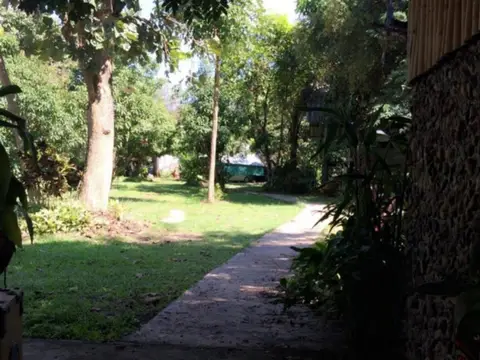 Pai Topia — фото 1