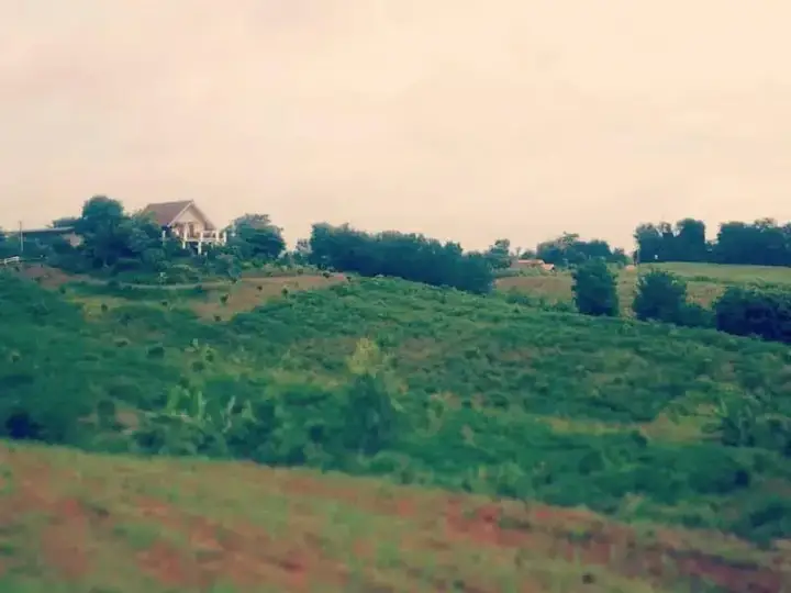 Пак-Чонг: Makha Ville Farmstay