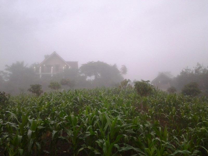 Пак-Чонг: Makha Ville Farmstay