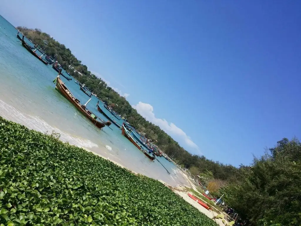 Муанг: The Blue Rabbit Phuket Hotel