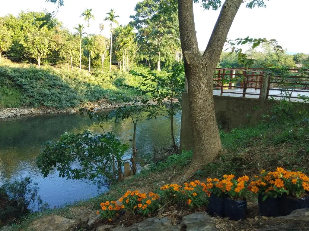 Our Eco Farm — фото 1