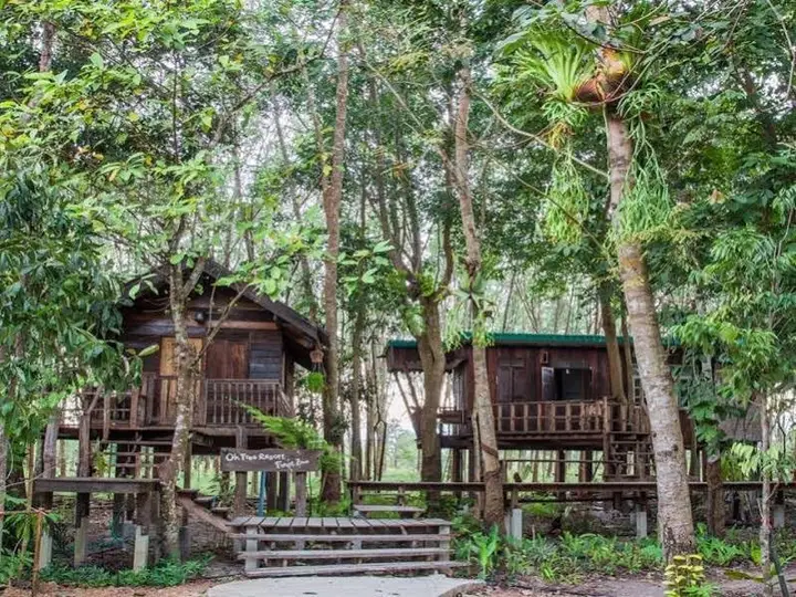 Санамчай: Oh Tree Resort