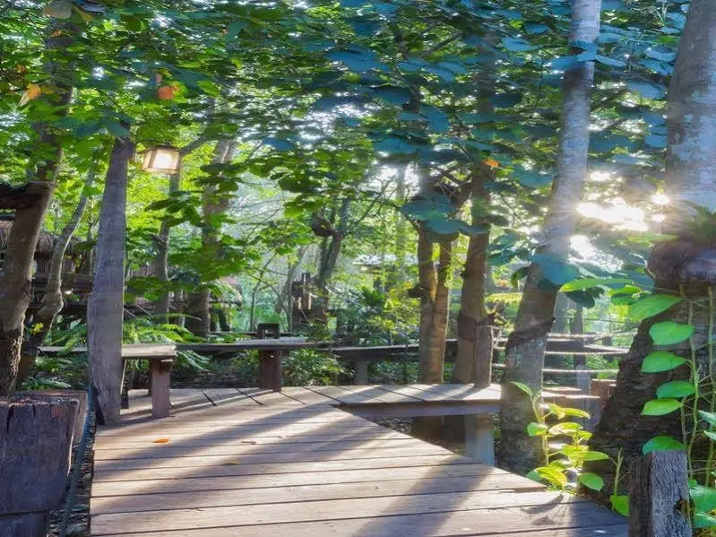 Санамчай: Oh Tree Resort