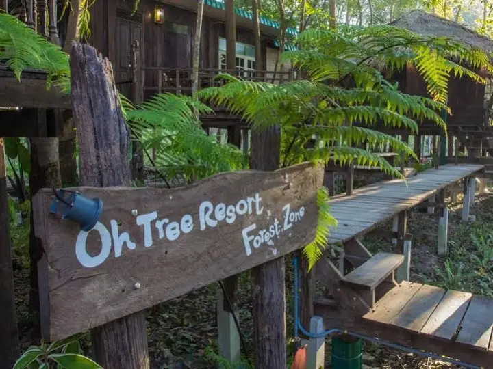Санамчай: Oh Tree Resort