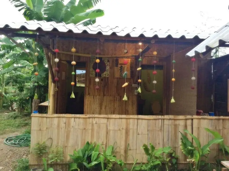 Паи: Cozy Pai