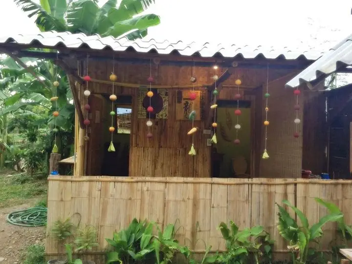 Паи: Cozy Pai