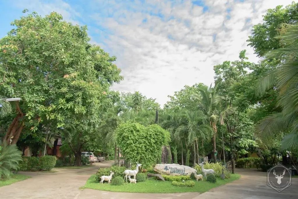 Исторический парк Kamphaeng Phet: Maiyai Resort - Big Tree