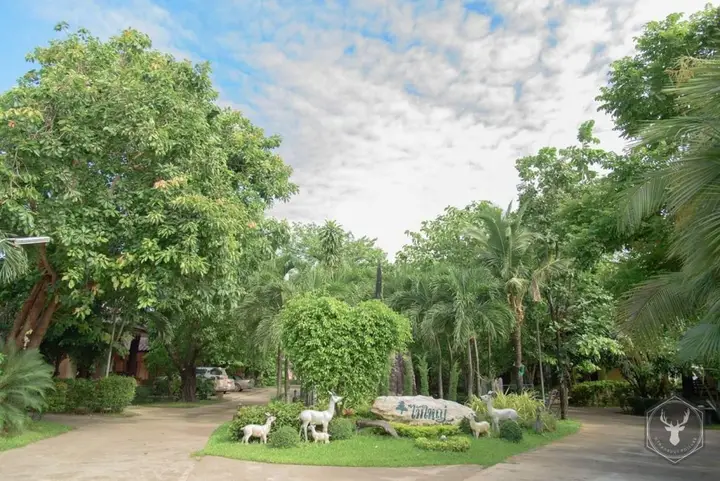 Исторический парк Kamphaeng Phet: Maiyai Resort - Big Tree