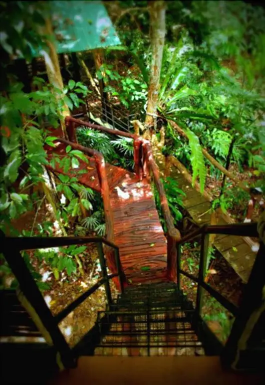 Фаном: Khao Sok Tree House