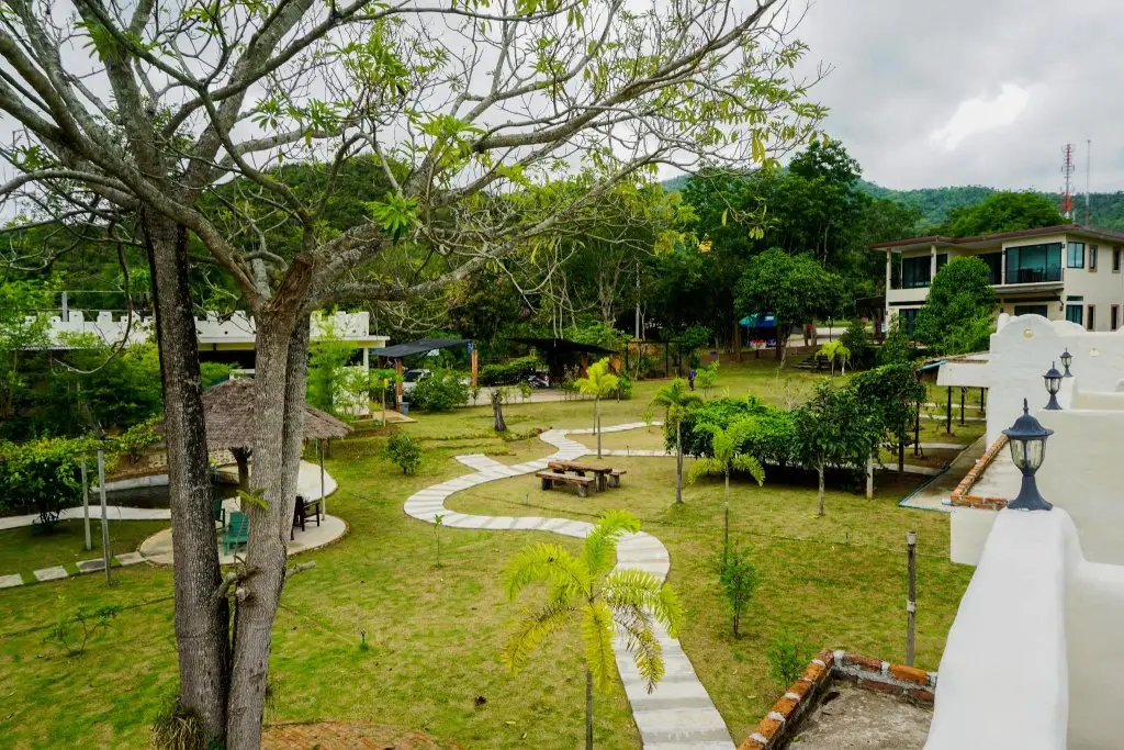 Dandelion Resort — фото 1