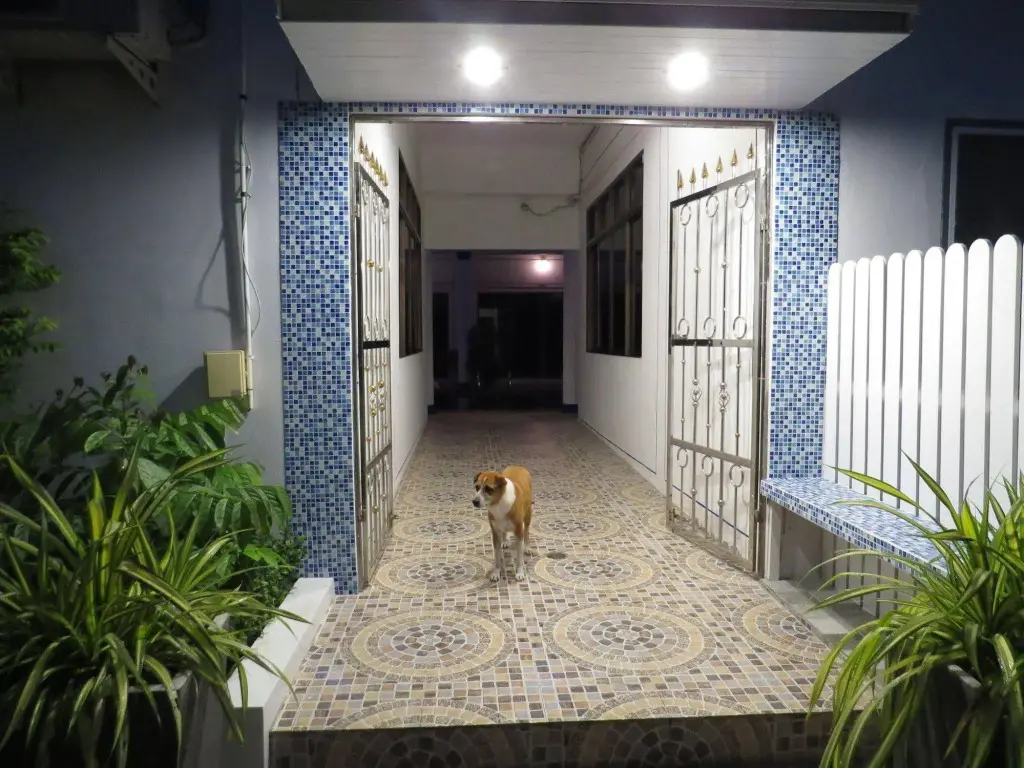 Кату: The Club Hotel Kamala