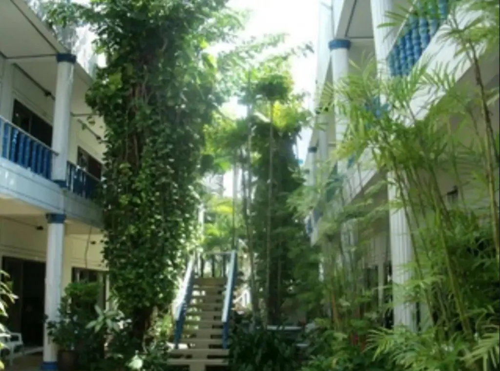Кату: The Club Hotel Kamala