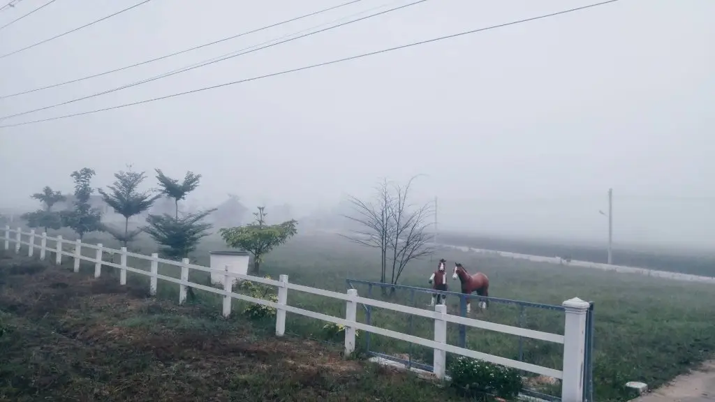 Мае-Таенг: Santitham Farm Stay