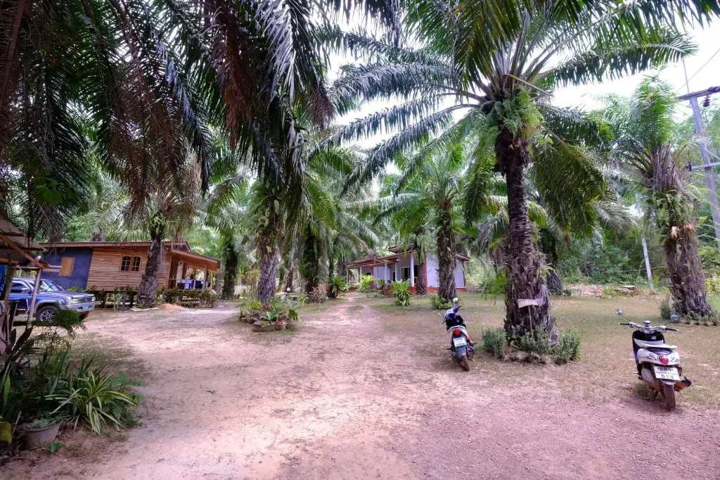Ланта: Mada Lanta Mai Keaw