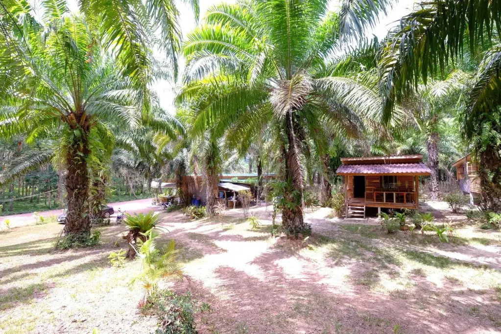 Ланта: Mada Lanta Mai Keaw