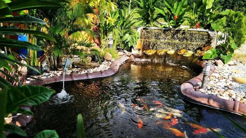 Сирача: Somjainuk Resort 1