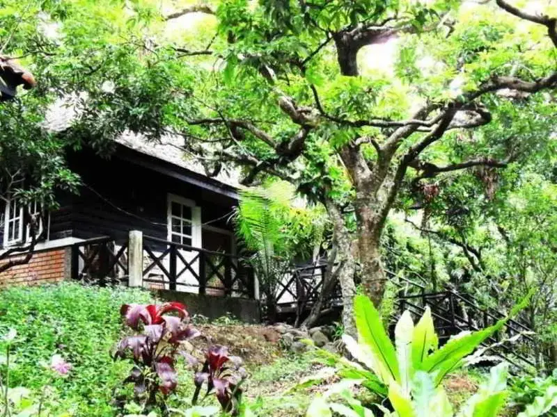 Чиангмай: Thaton River View Resort