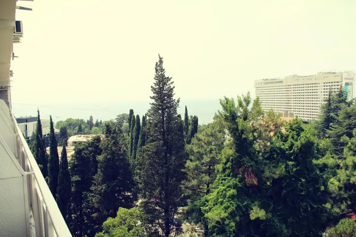 Сочи: Hotel Volna
