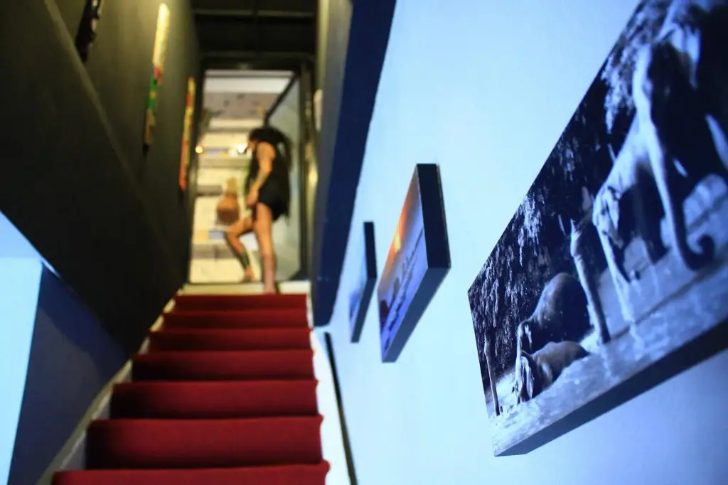 Самуи: My Samui Hostel
