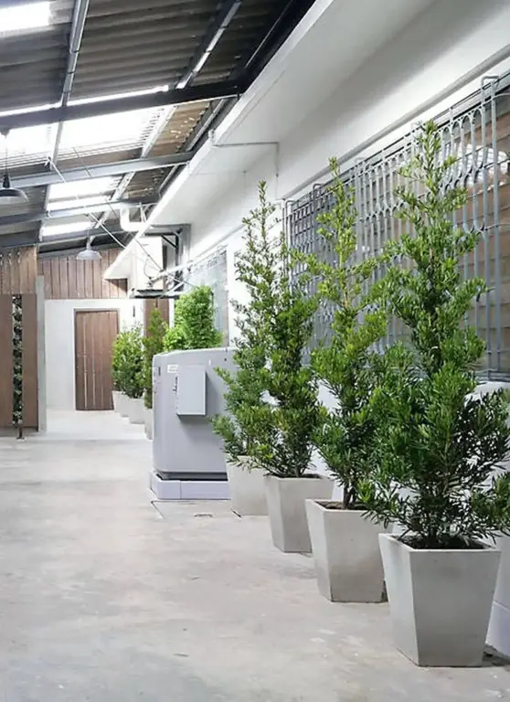 Бангкок: Baan Mai Guest House