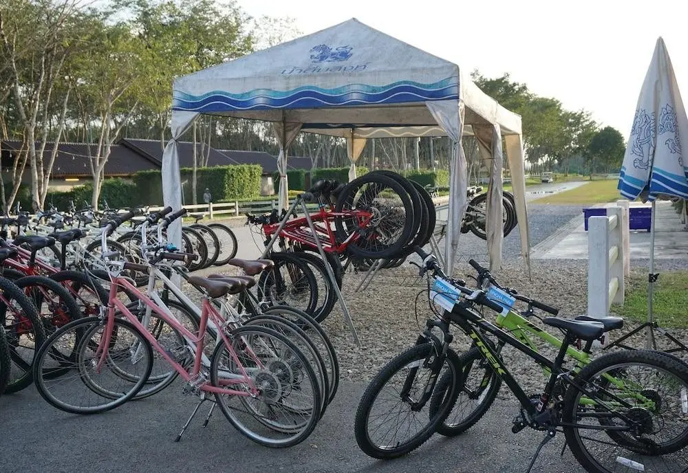 Чианграй: Singha Park Chiang Rai Camping