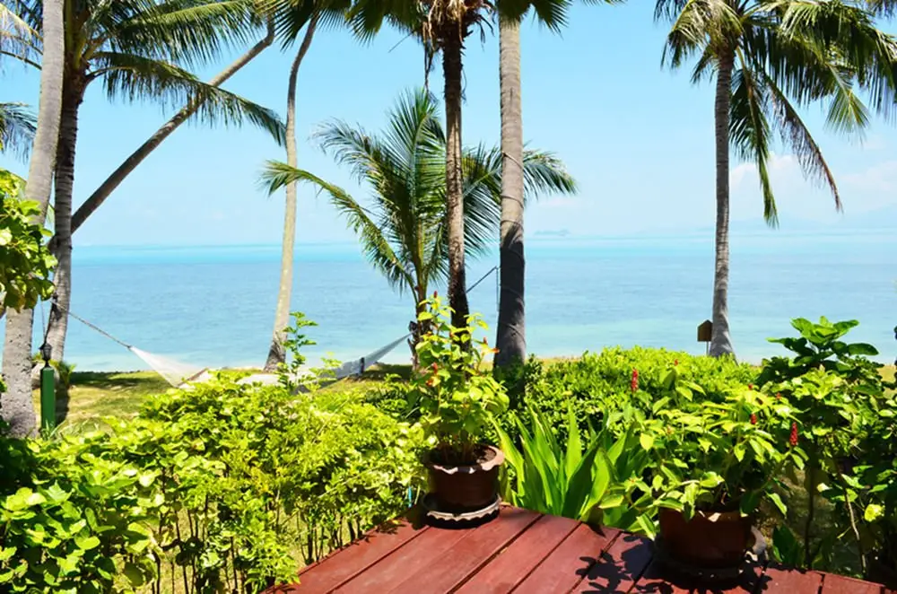 Самуи: Green Coconut Village A9