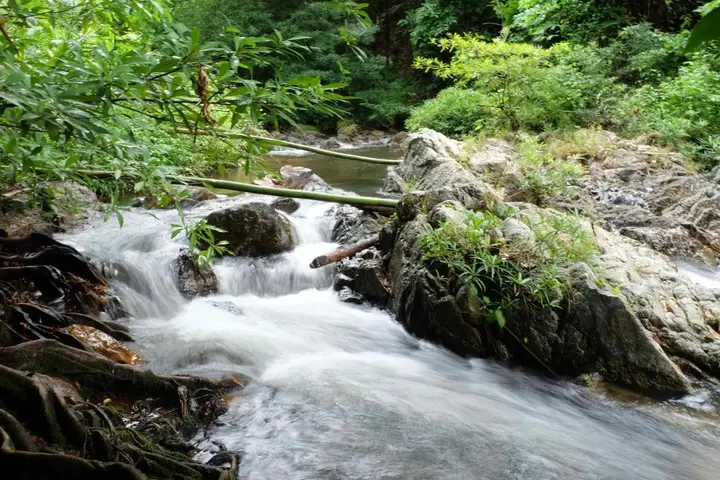 Tha Chang: Pi Creek Hideaway Resort
