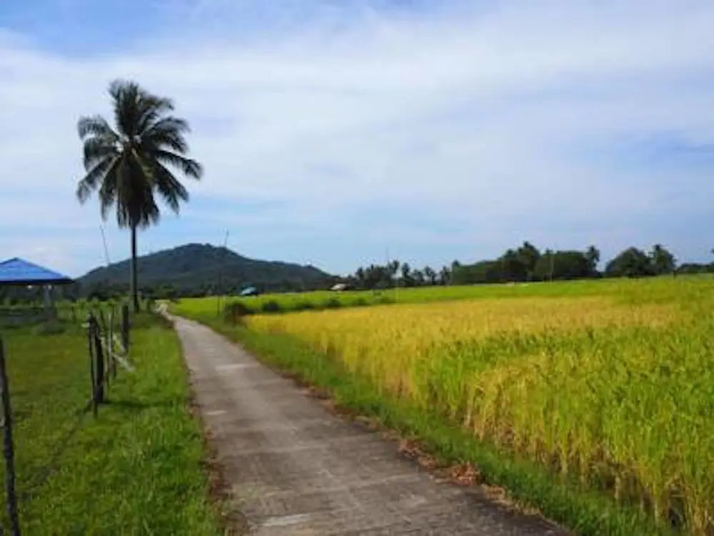 Koh Sukorn Homestay — фото 1
