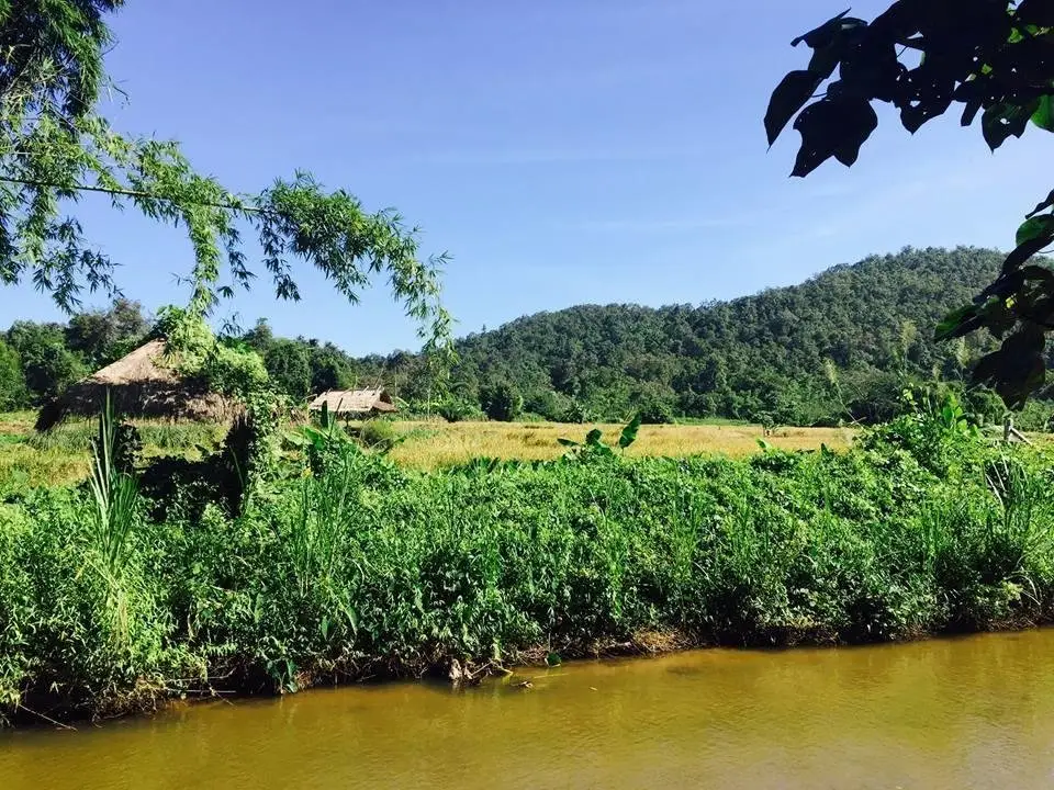 Чианграй: Tong Tow House