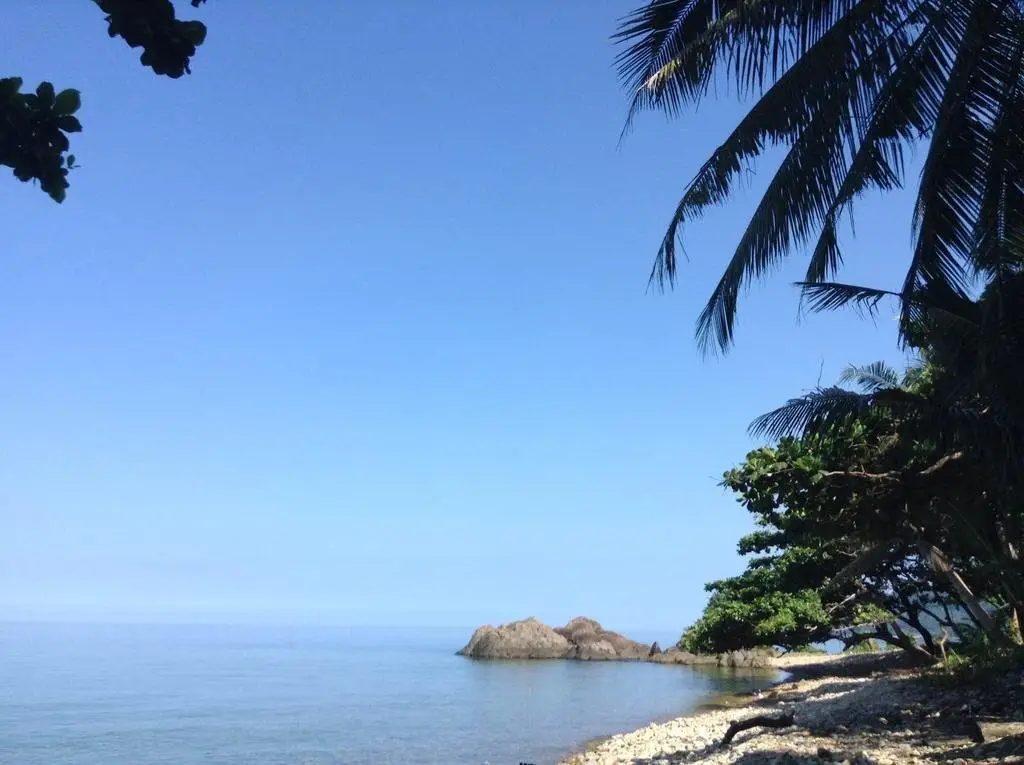 Ко Чанг: Paradise Palms