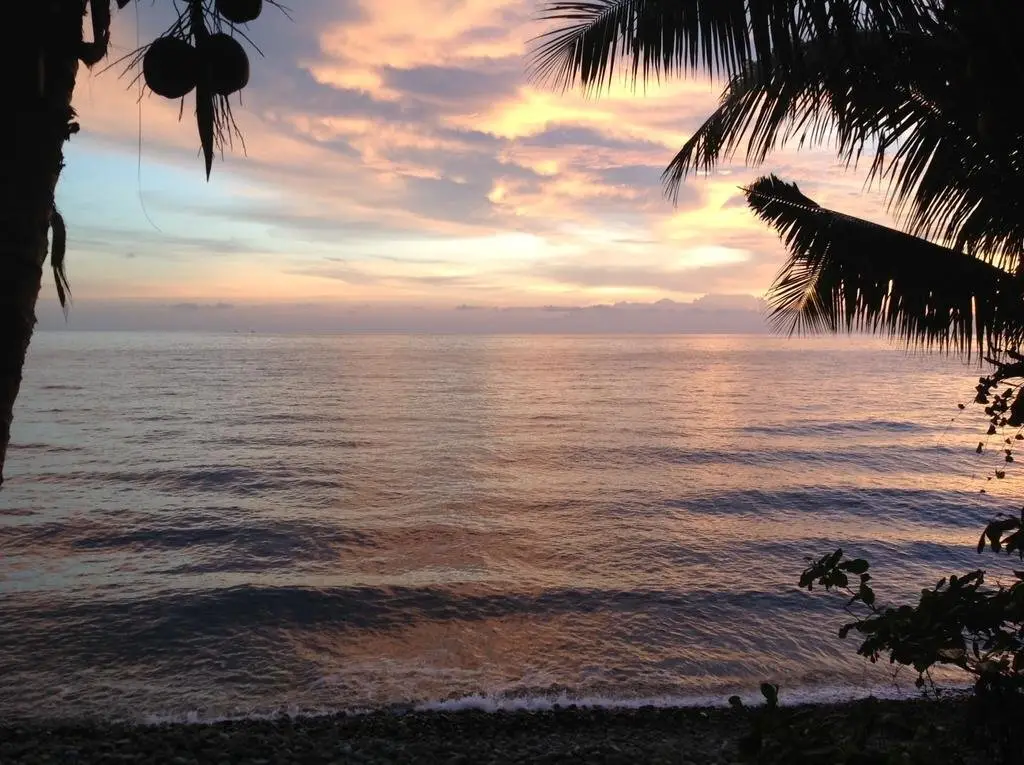 Ко Чанг: Paradise Palms