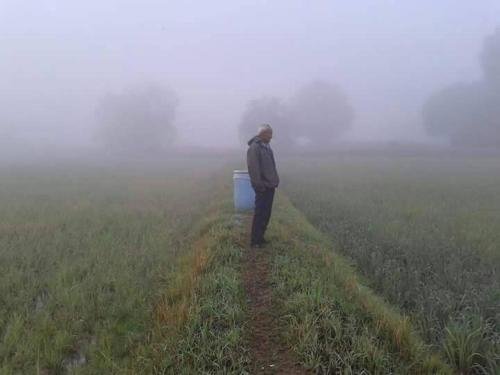Пан Нонг Тхум: Nana Organic Farm
