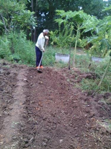 Пан Нонг Тхум: Nana Organic Farm