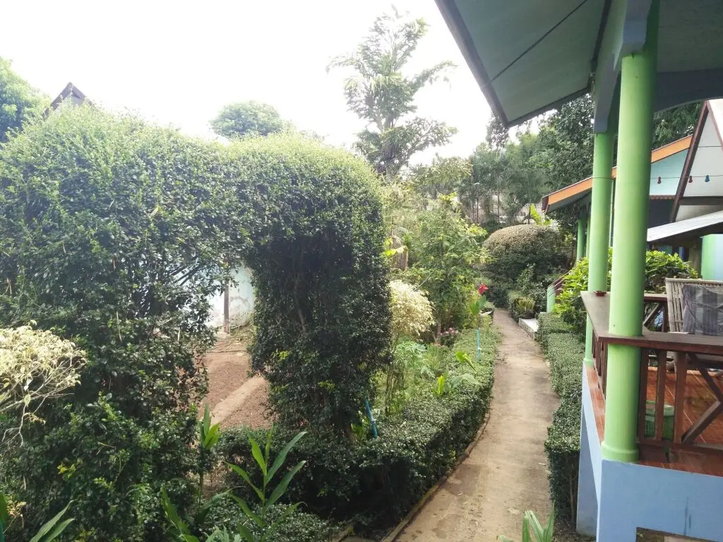 Паи: Mr Jan Guest House