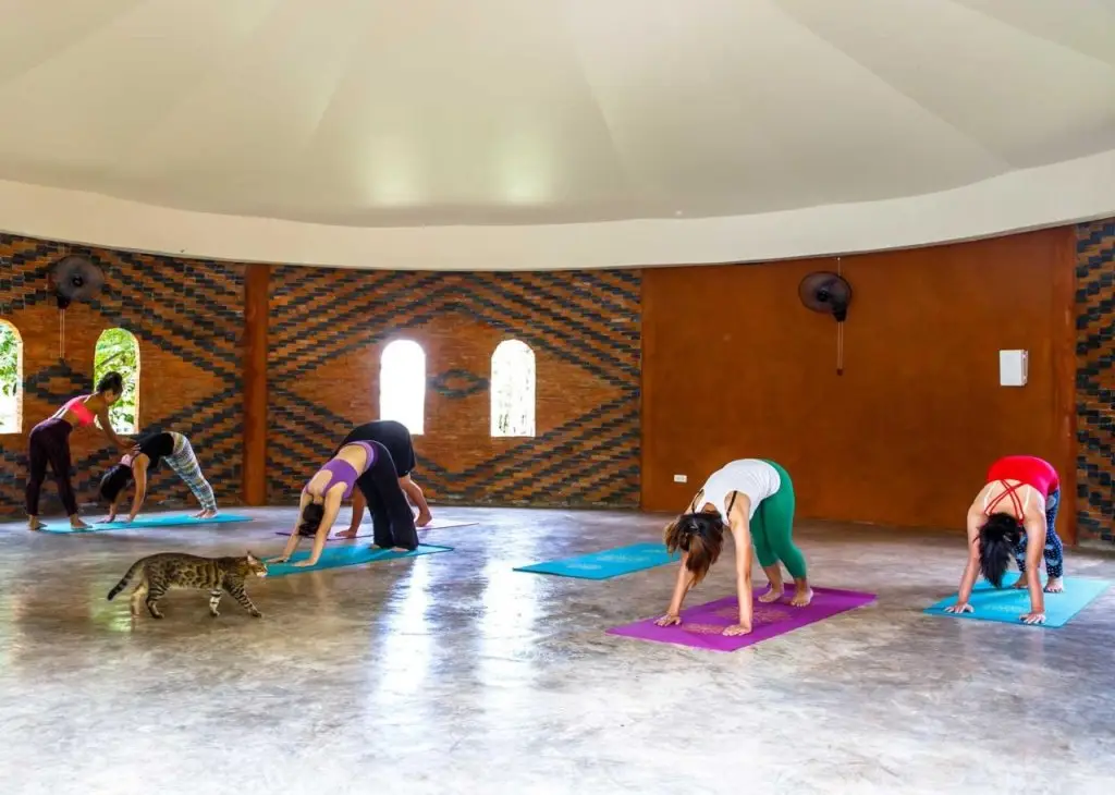 Дой-Сакет: Mala Dhara Eco Resort