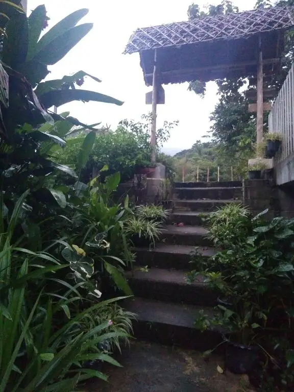 Паи: Honey Homestay