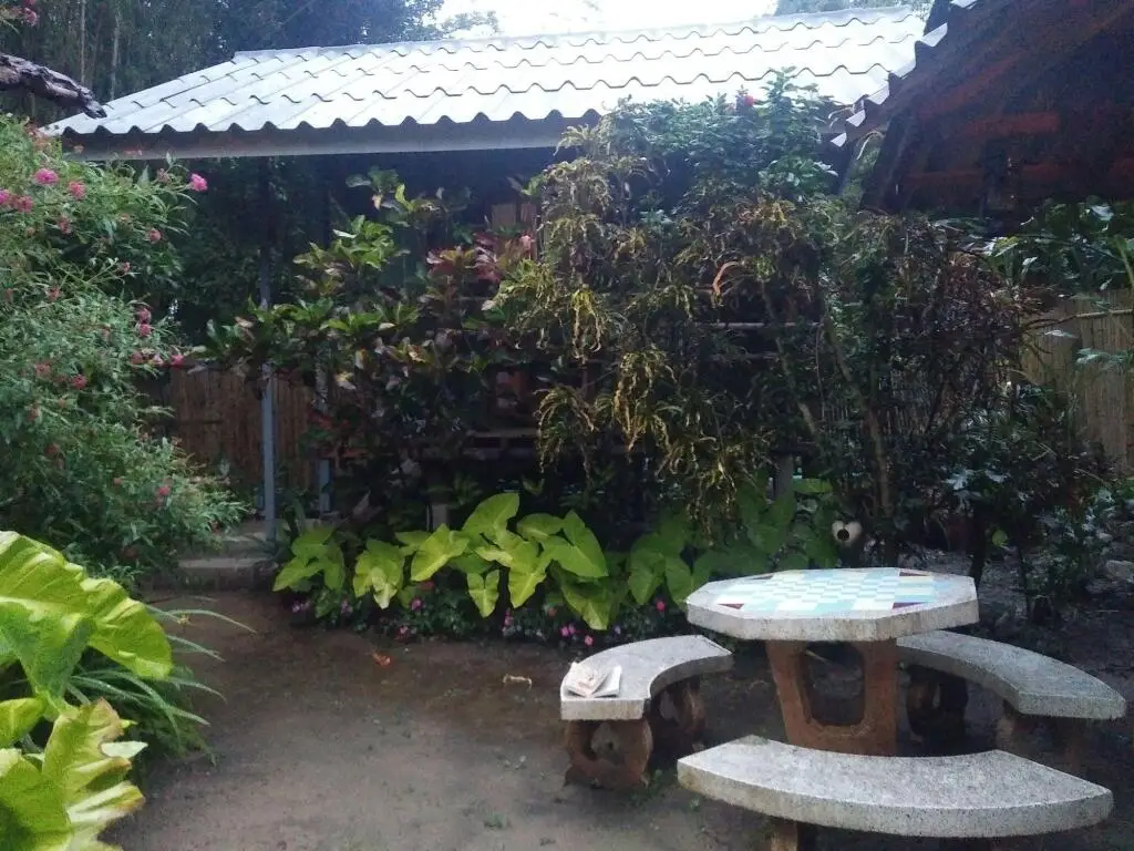 Паи: Honey Homestay