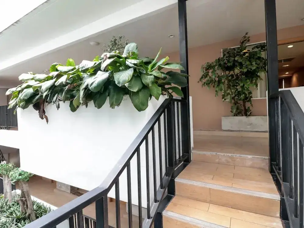 Бангкок: NIDA Rooms Thonglor 25 Alley Jasmine