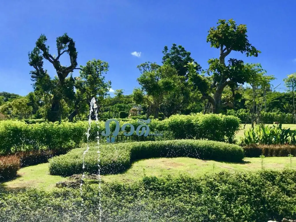 Пак-Чонг: Phuwadee Resort Khao Yai