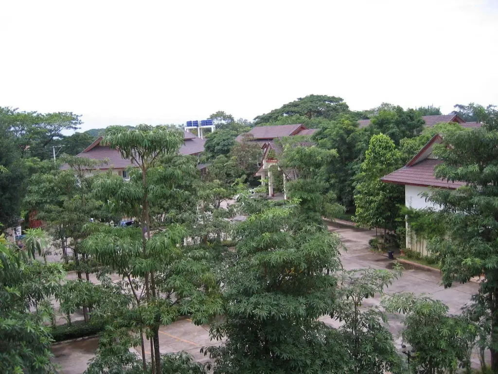 Чианграй: Tanya Resort